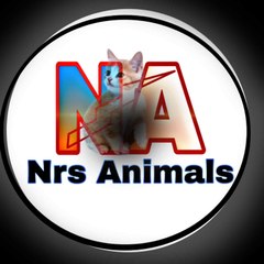 Nrs Funny Animals