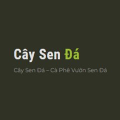 Cây Sen Đá