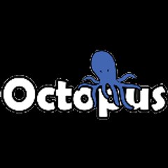 Octopus Bridge