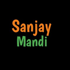 Sanjay Mandi VLOGS