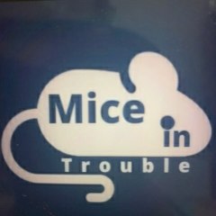 Mice in Trouble