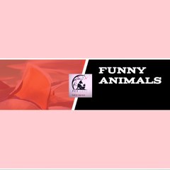 FUNNY ETC