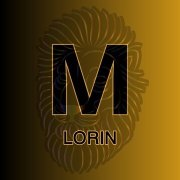 mohamed lorin