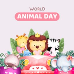 Animal Daily Life