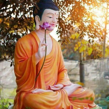Diệu Pháp Thiền Tông Diệu Pháp