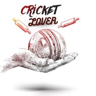 Cricket lover