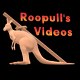 Roopull