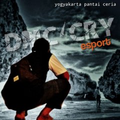 SRD project