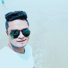 Md Amir Hamza