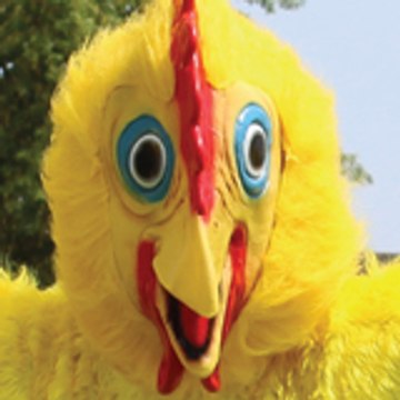 Dance Chicken