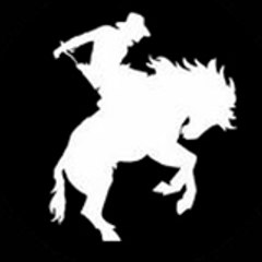 DarkHorsePictures