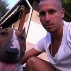 Azzarobull