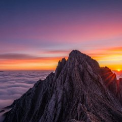 All Movie All Star III