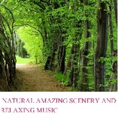 naturescenery