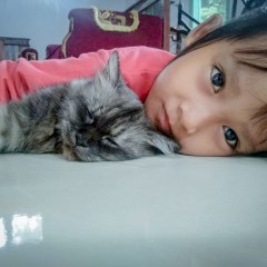Mgh Animals
