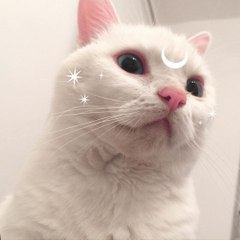 NishimuraHisayo
