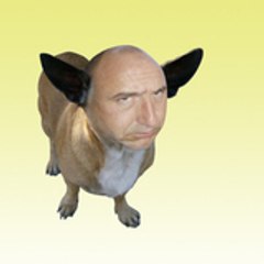 Lamulasse