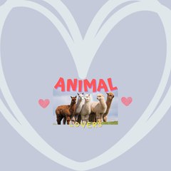 ANIMALOVERS