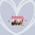 ANIMALOVERS