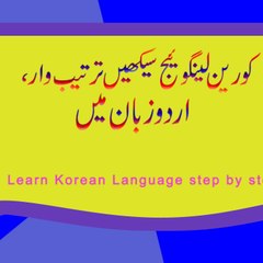 language info4