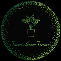 Tiwari's Green Terrace
