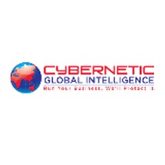 Cybernetic Global Intelligence