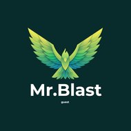 Mr.Blast