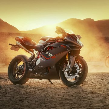 Bike lover