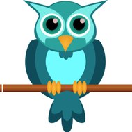 Owl Caddy No Copyright Gameplay