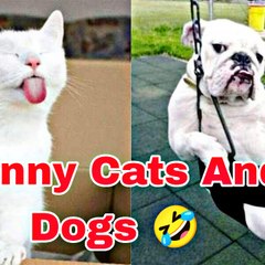 SK Entertainment Satisfying