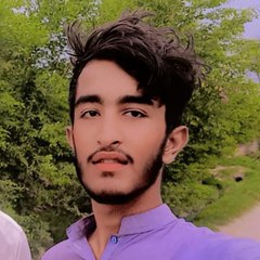 Sajawaljutt3246