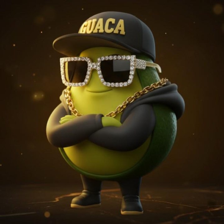 Dailymotion profile picture for @guaca_la_reusta