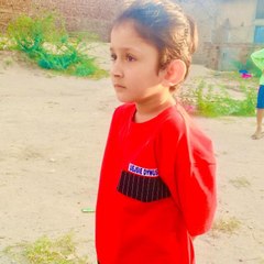 Faisal Faisalnazir