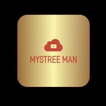 Mystree Man