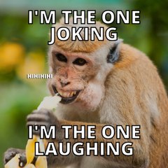 Entertainment  Industry