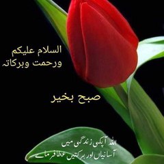 Muhmmad ibraheem