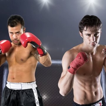 boxinglover-shorts6215