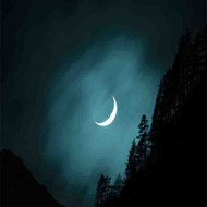 Discover The Worldss