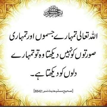 Abida Shafaat