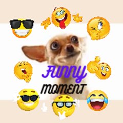 Funny Moments