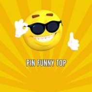 Pin Funny Top