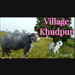 Village khudpur