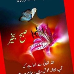 Ali Entertainment and Islamic