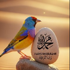 Shafique Ahmed Solangi