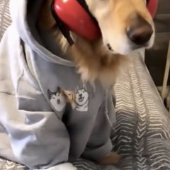 RS FUNNY VIDEO