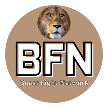 Beast Fight Network