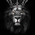 The Lion king