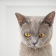 HORA PUSA