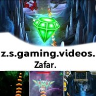 z.s gaming video