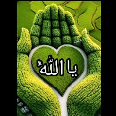 Amin malik